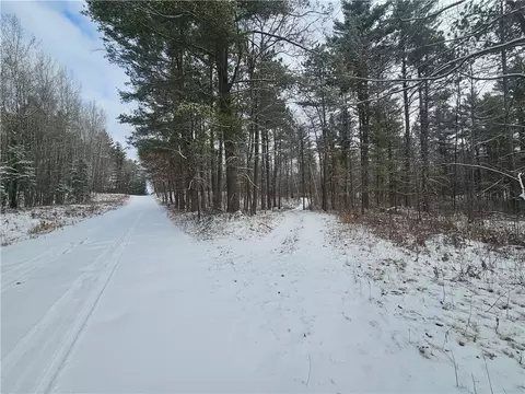 lot0 County Hwy E, Springbrook, WI 54875 photo 10