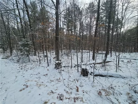 lot0 County Hwy E, Springbrook, WI 54875 photo 6