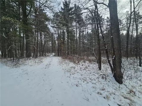 lot0 County Hwy E, Springbrook, WI 54875 photo 9