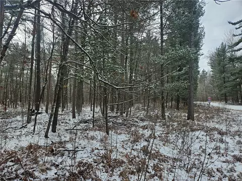 lot0 County Hwy E, Springbrook, WI 54875 photo 13