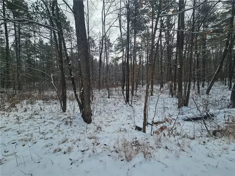 lot0 County Hwy E, Springbrook, WI 54875 photo 4