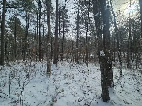 lot0 County Hwy E, Springbrook, WI 54875 photo 7