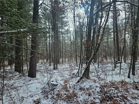 lot0 County Hwy E, Springbrook, WI 54875 photo 12
