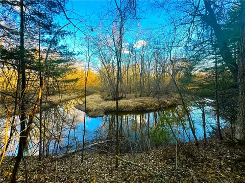 20 Acres Thornapple Rd, Ladysmith, WI 54848