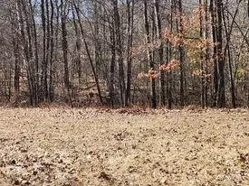 9838 N Gardner Lake Rd, Springbrook, WI 54875 photo 12