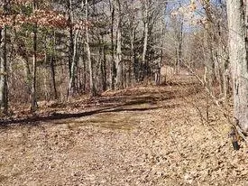 9838 N Gardner Lake Rd, Springbrook, WI 54875 photo 11