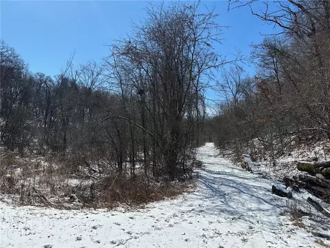 0 Baumgarten Ln, Eleva, WI 54738 photo 3