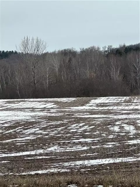 00 County Road Hh, Eleva, WI 54738 photo 9