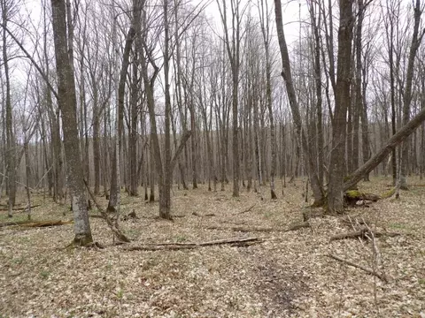4315 N Tower Rd, Winter, WI 54896