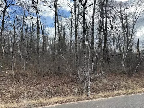 0 W Polish Rd, Radisson, WI 54867 photo 2