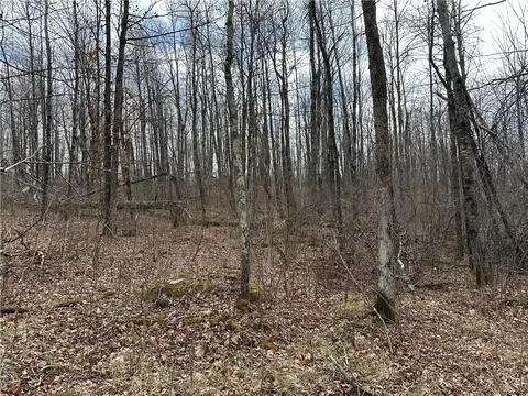 0 W Polish Rd, Radisson, WI 54867 photo 9