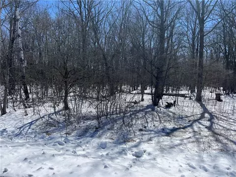 0 10th Ave, Fall Creek, WI 54742 photo 5