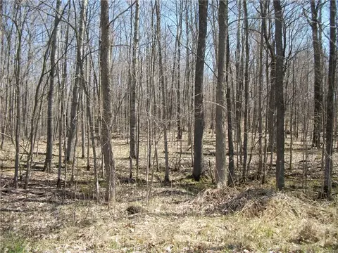 lot S Apt 93 Apt 94 Maple Ct, Birchwood, WI 54817