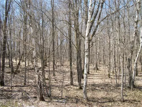 lot S 26 29 Loch Lomond Blvd, Birchwood, WI 54817