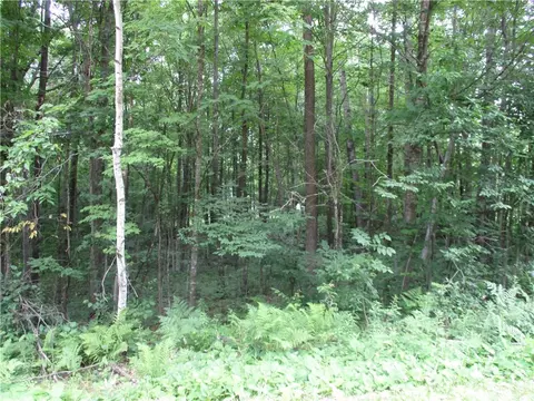 lot Apt 96 Woods Ave, Birchwood, WI 54817
