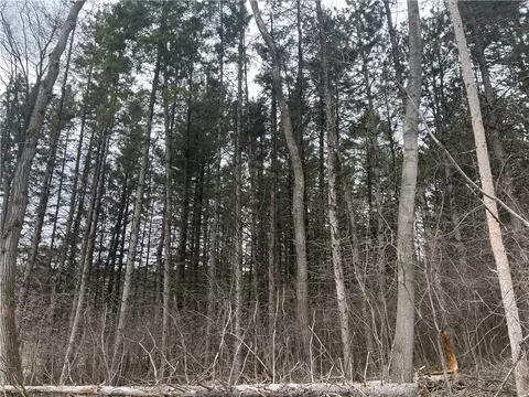 0 Jeffers Rd, Eau Claire, WI 54703