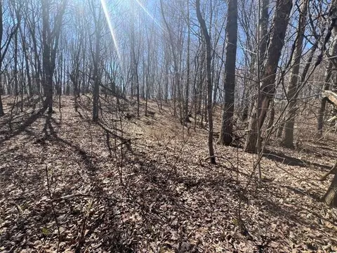 lot3 464th St, Boyceville, WI 54725