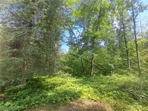 Nnn White Tail Drive, Danbury, WI 54830