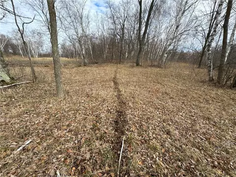 0 220th, Eureka, WI 54024 photo 9