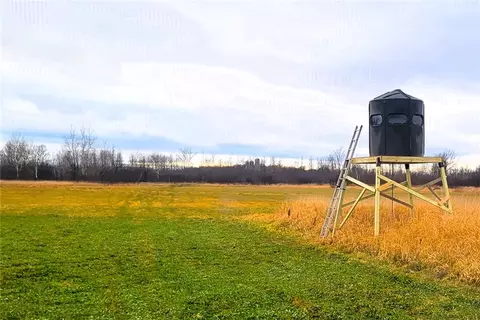 25 Acres Progressive Rd, Tony, WI 54563