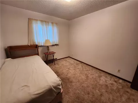 510 Red Pine Ave, Cameron, WI 54822 photo 17