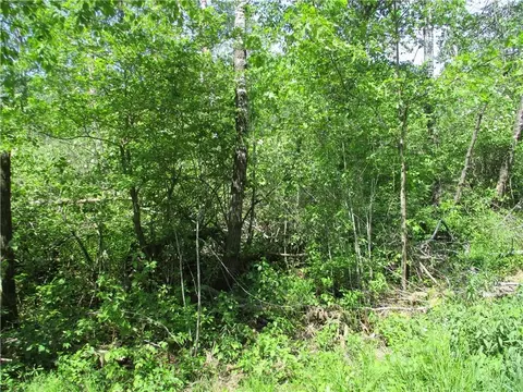 lot S 18 And 19 Eden Ave, Birchwood, WI 54817