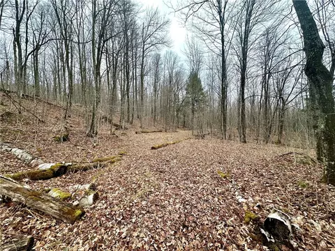 lot1 W River Rd, Hayward, WI 54843