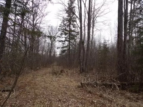 40 Acres Off Wright Rd, Winter, WI 54896