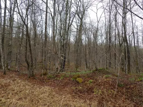 4596 Tower Rd # N, Winter, WI 54896 photo 14