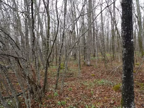 4596 Tower Rd # N, Winter, WI 54896 photo 13