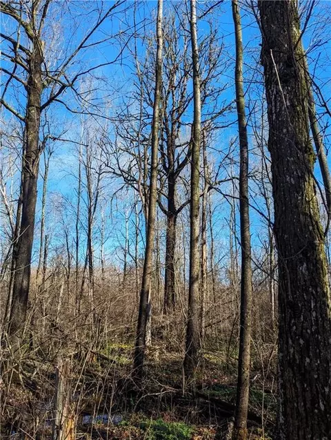 00 Cth O, Catawba, WI 54515