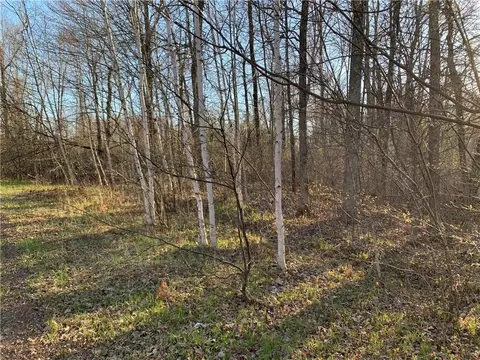 Lot 1 Bear Paw Road, Bruce, WI 54819