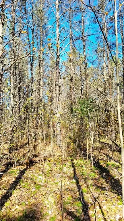 n7089 5th Street, Springbrook, WI 54875 photo 16