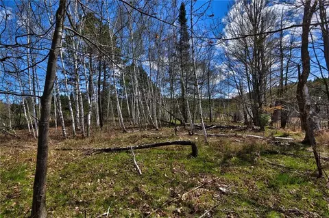 0 Bear Cub Ln, Winter, WI 54896 photo 12