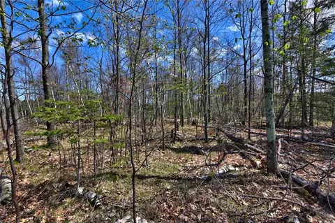 0 Bear Cub Ln, Winter, WI 54896 photo 9
