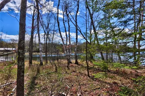 0 Bear Cub Ln, Winter, WI 54896 photo 10