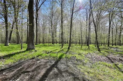 17580 Hardwood Ct, Cable, WI 54821 photo 35