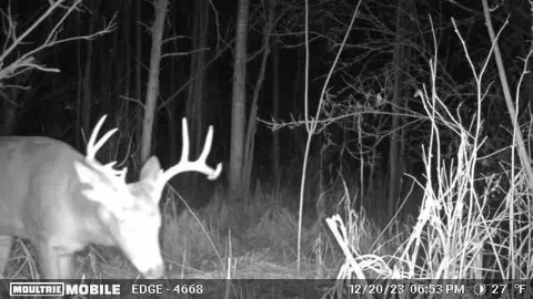 0 Pioneer Rd, Sheldon, WI 54766 photo 11