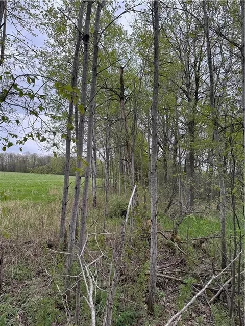 0 Pioneer Rd, Sheldon, WI 54766 photo 14