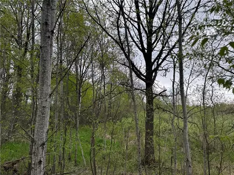 0 Pioneer Rd, Sheldon, WI 54766 photo 5