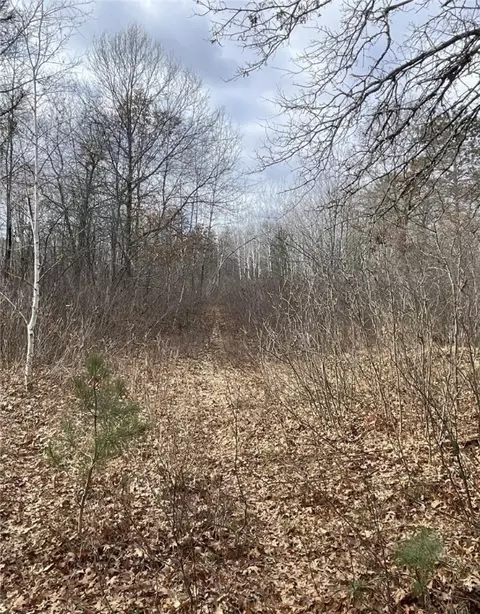 W2817 Airport Road, Springbrook, WI 54875 photo 3