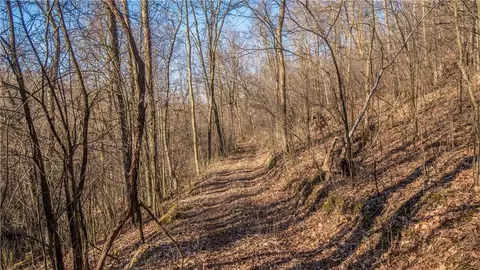 tbd County Road Cc, Independence, WI 54747 photo 11