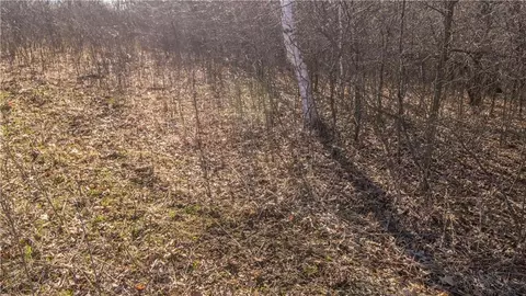 tbd County Road Cc, Independence, WI 54747 photo 20