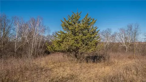 tbd County Road Cc, Independence, WI 54747 photo 19
