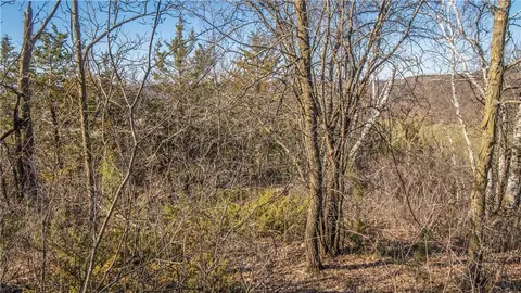 tbd County Road Cc, Independence, WI 54747 photo 26
