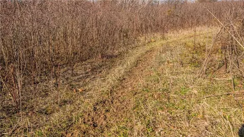 tbd County Road Cc, Independence, WI 54747 photo 18