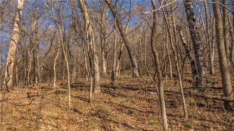 tbd County Road Cc, Independence, WI 54747 photo 8