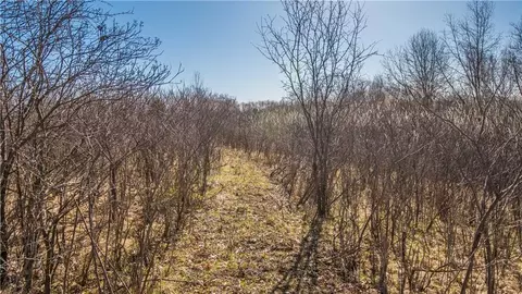 tbd County Road Cc, Independence, WI 54747 photo 31