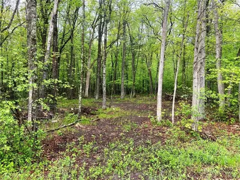 Nnn Pike Bend Road, Webster, WI 54893