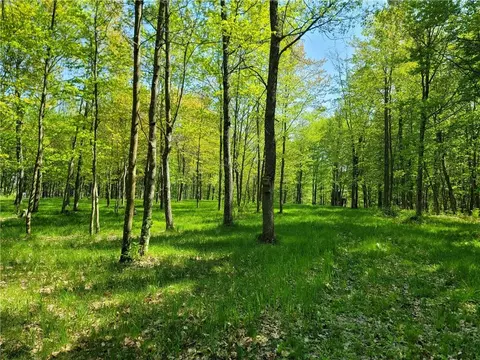 2453 2 34 Ave, Chetek, WI 54728 photo 5